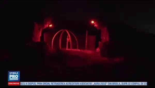 Testoasele verzi din Mediterana, pe cale de disparitie, din cauza deseurilor aruncate in mare. Ce s-a descoperit la autopsie