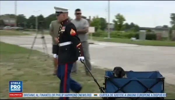 Parada militara emotionanta pentru un caine al armatei SUA bolnav de cancer. Sute de oameni i-au spus adio animalului-erou