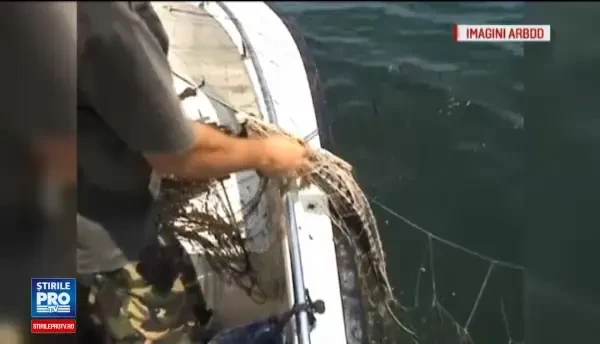 Imagini dureroase cu masacrul facut de braconieri in Marea Neagra. Sturioni si delfini, gasiti morti in plasele acestora