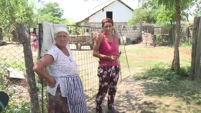 Fermierii nu gasesc zilieri si risca sa ramana cu recolta in camp. Asistat social: "Nu putem sta in soare, murim!"