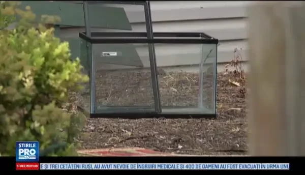 O femeie a sunat disperata la salvare, dupa ce un sarpe boa i s-a incolacit in jurul gatului si a muscat-o de nas. Ce a urmat