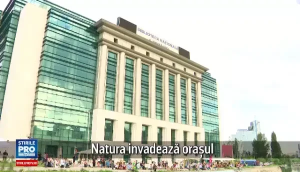 (P) Noul loc neconventional de socializare in Bucuresti, oferit de Strongbow: Debarcaderul Verde