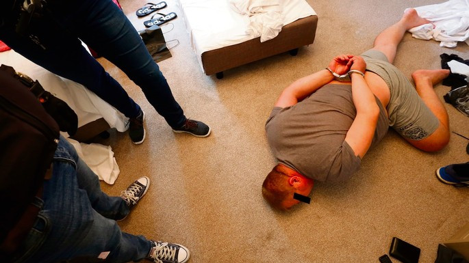 olanda, romani, furt, camioane, arestati,