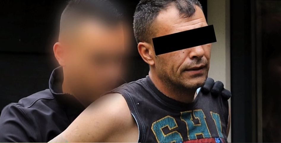 olanda, romani, furt, camioane, arestati,