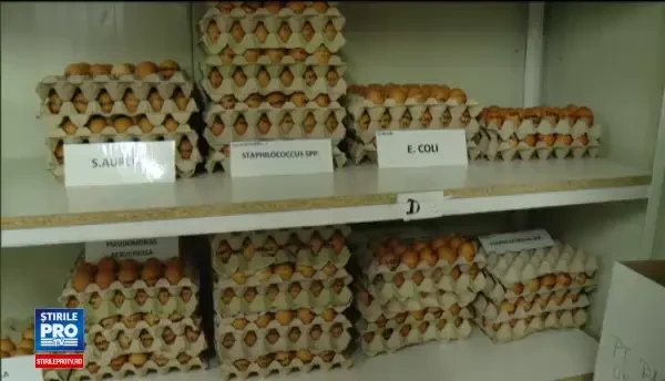 Produsul banal care ar putea sa vindece boli grave. Cum au descoperit cercetatorii romani leacul miraculos