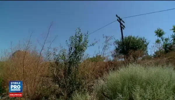 O femeie a murit si sotul ei este in stare critica dupa ce au fost loviti de tren la Eforie. Unde incercau sa ajunga cei doi