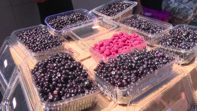 De ce este bine să mâncăm afine în fiecare zi. Care sunt beneficiile