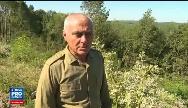 Pădurari din Gorj acuzați că au defrișat o pădure particulară. Din greșeala
