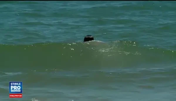 Cluburile din Mamaia și prețurile atrag tot mai multi straini