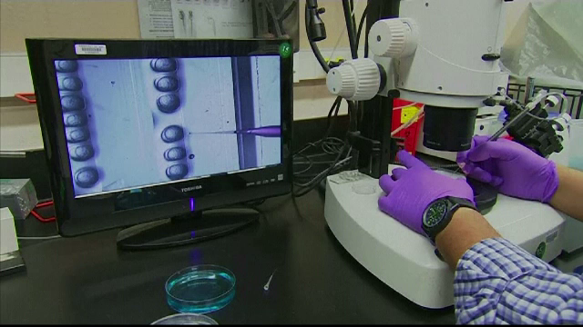 Genele care provoacă boli cardiace ereditare, eliminate pentru prima oară în istorie