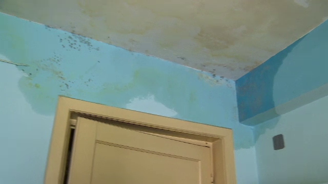 Caz absurd în Ploieşti. Locatari inundați de un vecin plecat in SUA de o lună. Poliția nu a făcut nimic