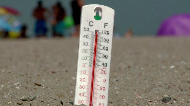 55 de grade Celsius, la nivelul solului pe litoral. Avertismentul medicilor