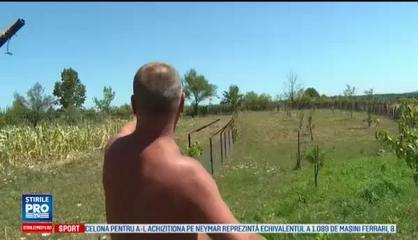 Mistreții au băgat frica într-o comună din Gorj