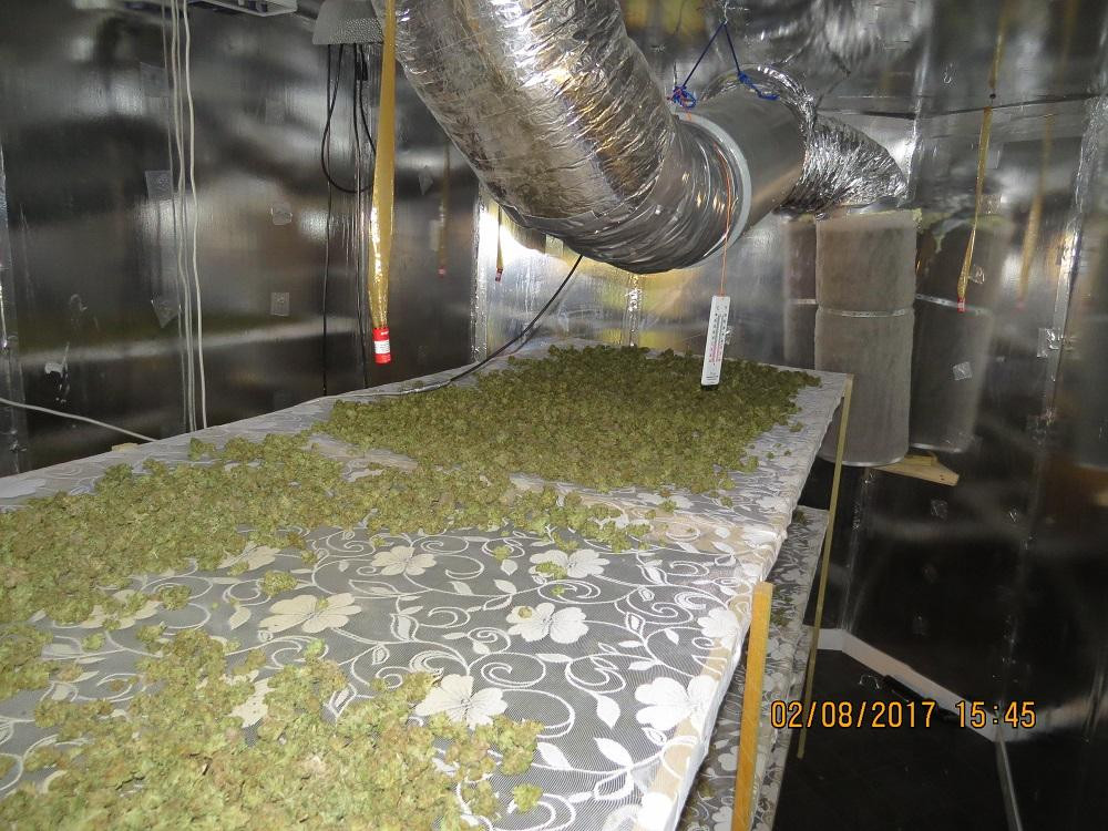 Descoperire impresionantă, în spatele unor pereți falși dintr-o fostă moară. Poliția din UK spune că nu a mai văzut așa ceva