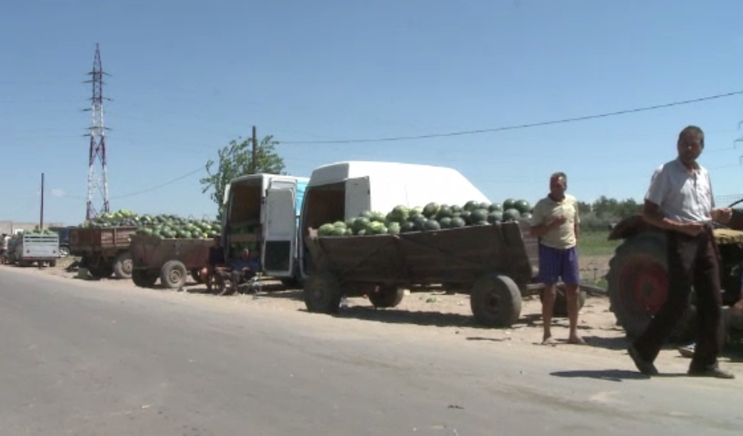 Producătorii de pepeni din Dăbuleni își vând marfa pe stradă, în caniculă