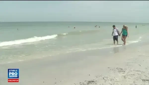 Americanii care ajută gratuit oameni să-și găsească obiectele din metal pierdute