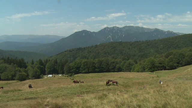 Eroii căzuţi în Primul Război Mondial, comemoraţi la Tabla Buții