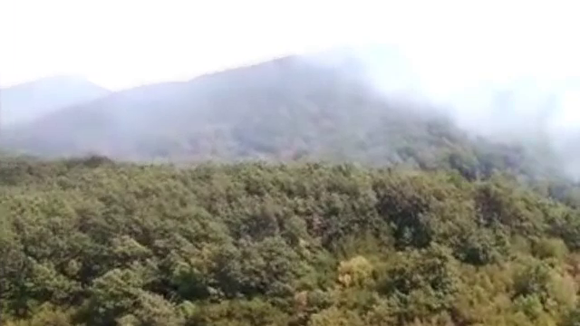 Pădurea din Mehedinţi, cuprinsă de flăcări duminică, arde şi acum