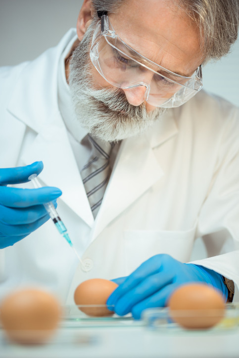 Scandalul ouălor contaminate cu Fipronil. Germania acuză un gest criminal