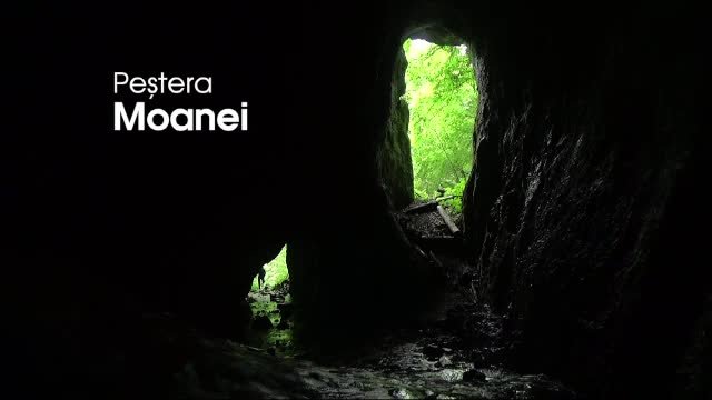 pestera
