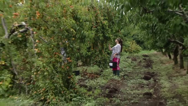 Campusul universitar transformat în piață de către studenți