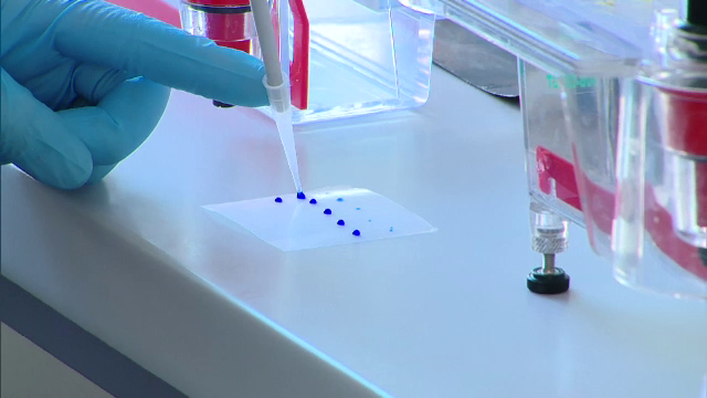 Cercetătorii se opun tăierii bugetului. Tudose: „Produc hârtii și articole”