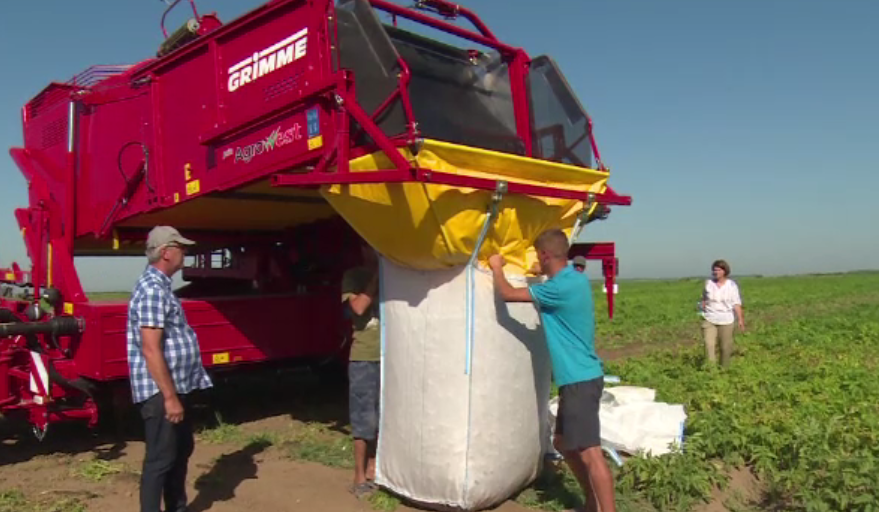 Terenurile agricole necultivate, impozitate mai scump în noul Cod Fiscal