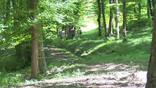 Un taximetrist a fost înjunghiat și lăsat fără mașină. Cine este agresorul, prins într-o pădure