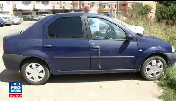 Ieşean acuzat că ar creşte câini şi pisici în maşină. Ce a făcut când a venit poliţia