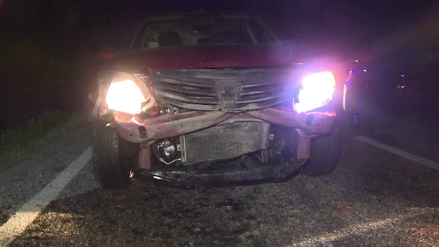 33 de mistreţi, ucişi într-un accident în Gorj. Cum au ajuns pe carosabil