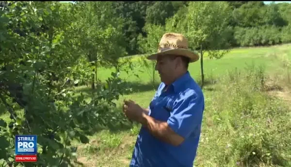 Băutura care va fi mai savuroasă grație gerului din primăvară. Ce preț va avea