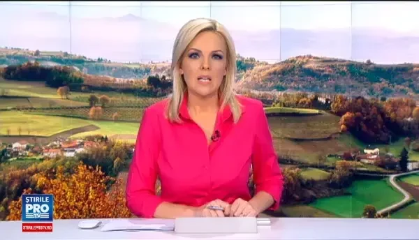 Localitățile cu steme bizare. Un oraş de munte are pe emblemă ancora