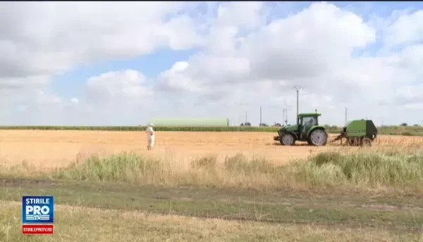 Preţurile terenurilor agricole au explodat. Judeţele unde se cumpără cel mai mult