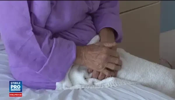 O femeie din Iași susține că un vecin a încercat să o violeze în propria casă