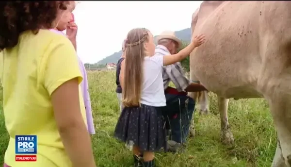 Fermele unde turiștii îngrijesc animale și învață să facă brânză: Copiii nu văd asta la bloc