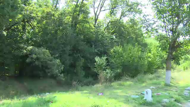 Proprietarul unei fabrici, găsit mort într-o padure. Rudele susțin ca era falit