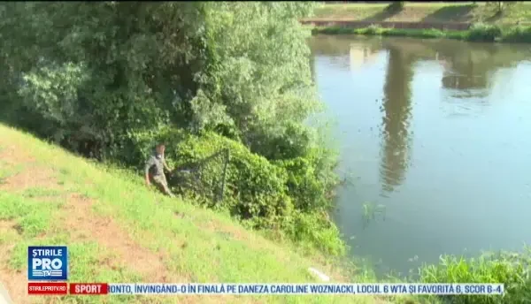 Fenomen îngrijorător în apele Crișului Repede, după ce mai mulți pești au murit