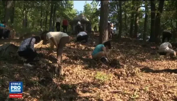 Mii de credincioşi culeg lacrimile Maicii Domnului dintr-o mănăstire din Arad