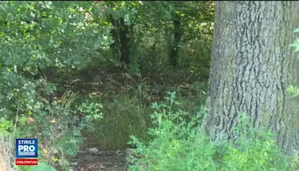 Proprietarul unei fabrici, găsit mort într-o padure. Rudele susțin ca era falit