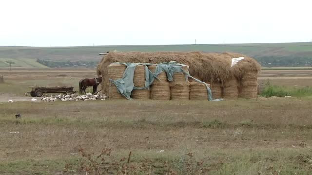 Un tânăr cu probleme psihice ar fi fost violat de doi bărbaţi