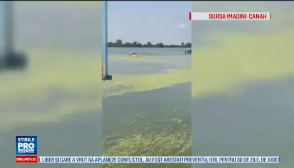 Avram Iancu, primit cu fast în țară, după primii 2.000 de km