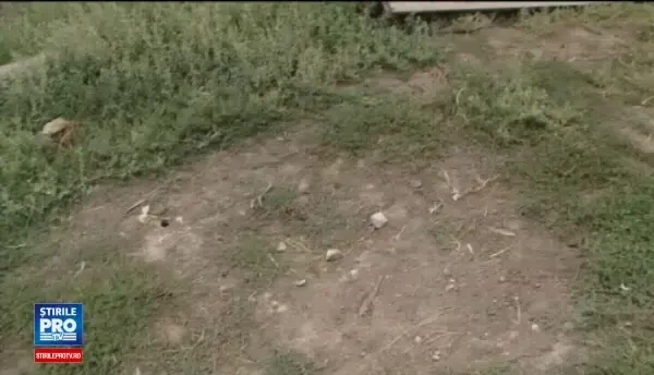 Un tânăr cu probleme psihice ar fi fost violat de doi bărbaţi