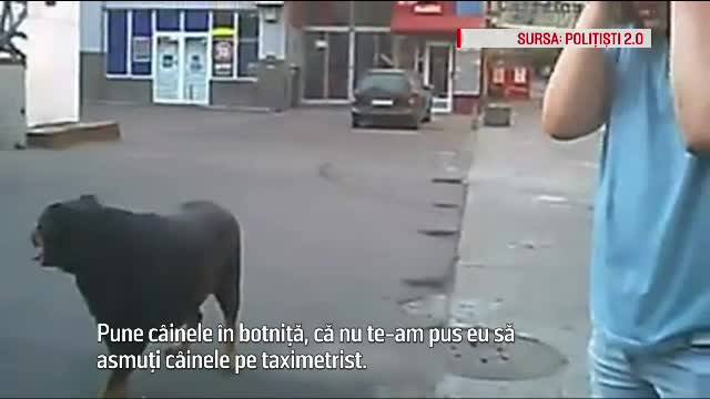 Un bucureștean i-a dat ordin câinelui rottweiler să îi atace pe polițiști