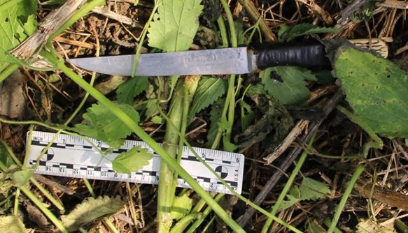 Tânăr din Moldova, acuzat că și-a ucis cu sânge rece părinții adoptivi