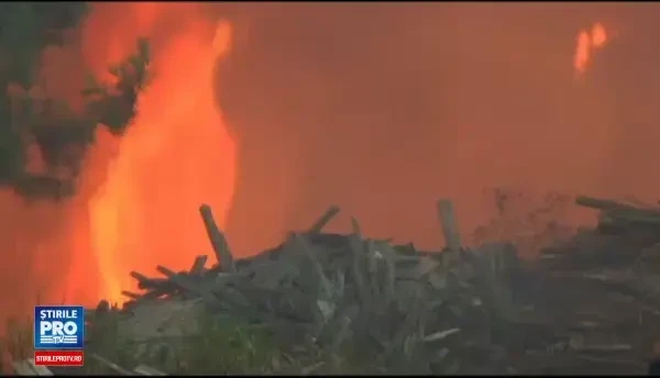 Portugalia, devastată de incendii. Zeci de oameni au murit