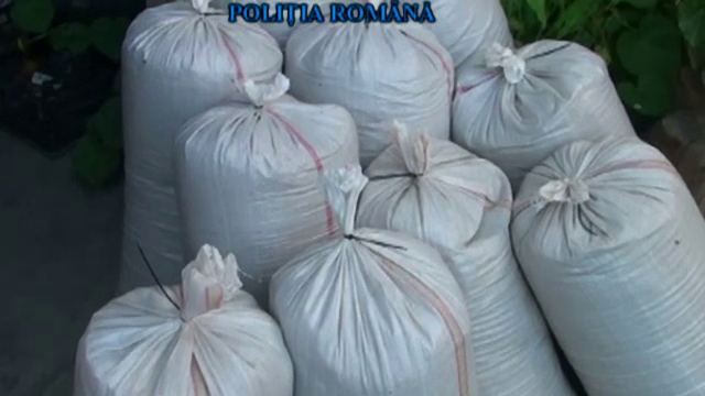 Descinderi la locuințele unor suspecți de contrabandă cu tutun