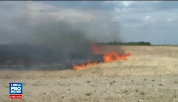 Incendiu de vegetație la marginea Craiovei: 8 vehicule, distruse de flăcări