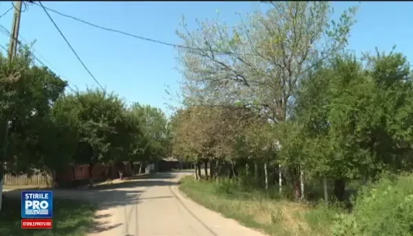 România, afectată grav de secetă. Cultivatorii din sudul țării sunt disperați