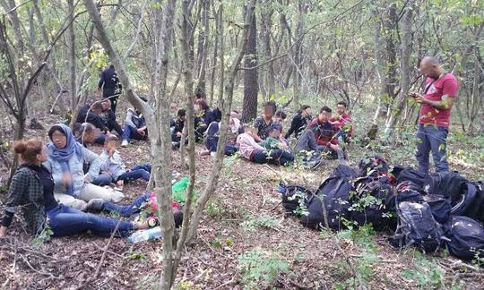 105 migranți descoperiți într-o pensiune din Timișoara. Cum au ajuns aici