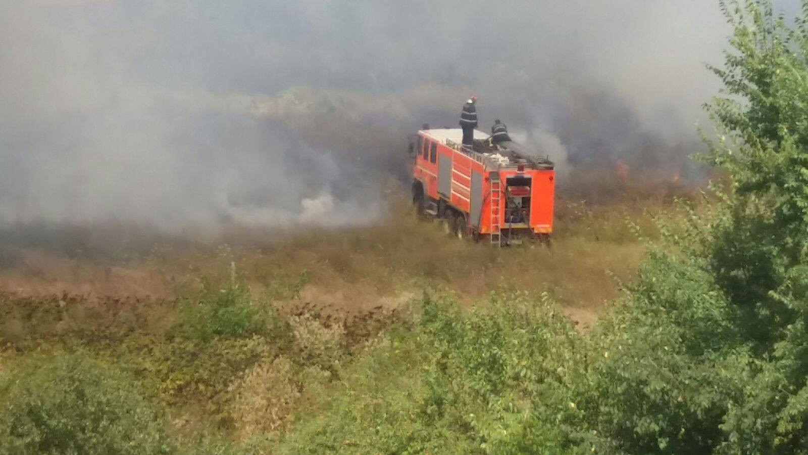 Incendiu de vegetaţie în Parcul Natural Văcăreşti